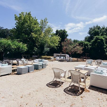 Quinta Do Tojal Konuk evi Ferreira do Zêzere Dış mekan fotoğraf